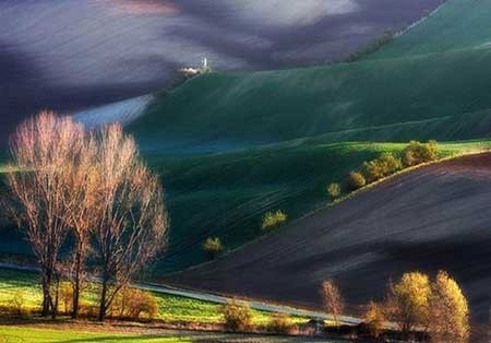 اخبار ,اخبار گوناگون ,دشتهای توسکانا اخبار ,اخبار گوناگون ,دشتهای توسکانا