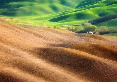 اخبار ,اخبار گوناگون ,دشتهای توسکانا اخبار ,اخبار گوناگون ,دشتهای توسکانا