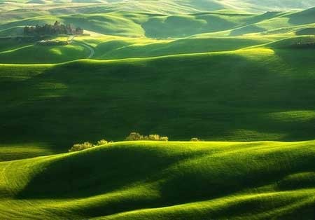 اخبار ,اخبار گوناگون ,دشتهای توسکانا اخبار ,اخبار گوناگون ,دشتهای توسکانا