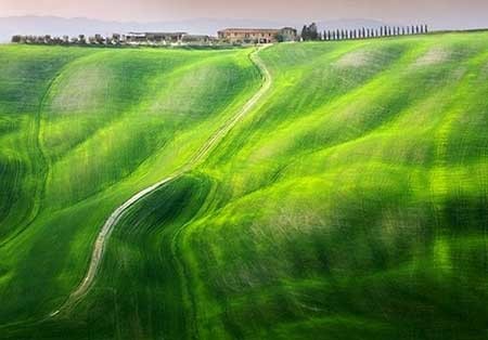 اخبار ,اخبار گوناگون ,دشتهای توسکانا اخبار ,اخبار گوناگون ,دشتهای توسکانا