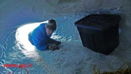 اخبار,اخبار گوناگون , همدردی با بی خانمان ها