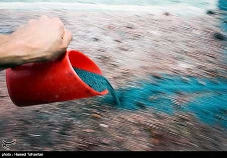 اخبار ,اخبار گوناگون ,فرش خاکی