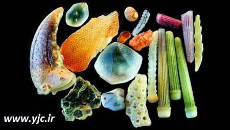 اخبار,اخبارگوناگون,شن های ساحلی اخبار,اخبارگوناگون,شن های ساحلی