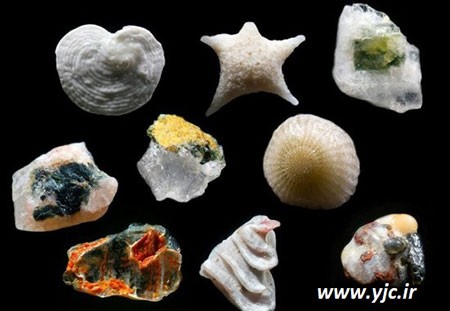 اخبار,اخبارگوناگون,شن های ساحلی اخبار,اخبارگوناگون,شن های ساحلی