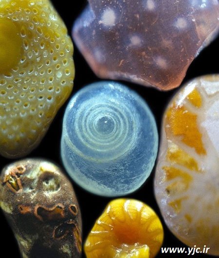 اخبار,اخبارگوناگون,شن های ساحلی اخبار,اخبارگوناگون,شن های ساحلی