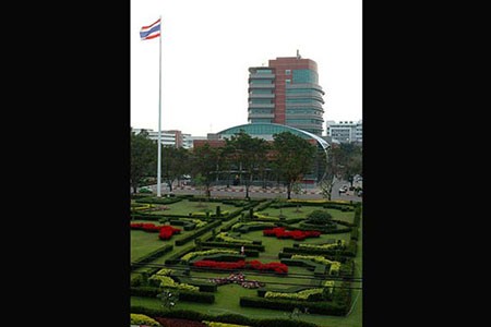 اخبار,اخبار گوناگون,دانشگاهی با درختان مشهور