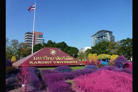 اخبار,اخبار گوناگون,دانشگاهی با درختان مشهور