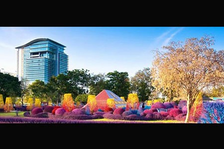 اخبار,اخبار گوناگون,دانشگاهی با درختان مشهور