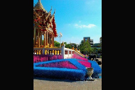 اخبار,اخبار گوناگون,دانشگاهی با درختان مشهور