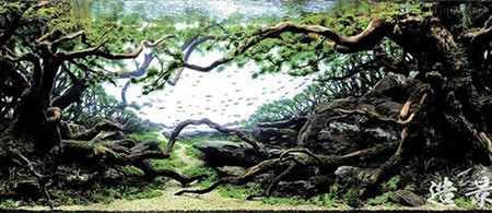 اخبار,اخبار گوناگون,آکواریوم های بی‌نظیری