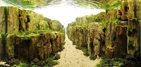 اخبار,اخبار گوناگون,آکواریوم های بی‌نظیری