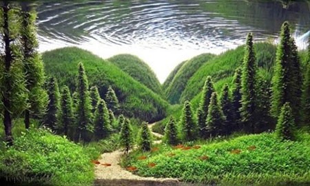 اخبار,اخبار گوناگون,آکواریوم های بی‌نظیری