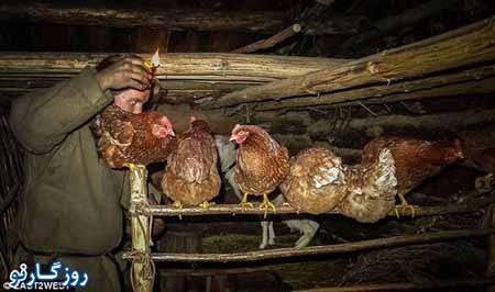 اخبار,اخبار گوناکون,تجربه زندگی به شیوه قرون وسطی در دنیای مدرن