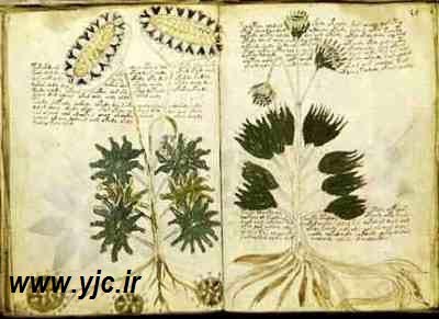 اخبار,اخبار گوناگون,رمزآلود ترین نوشته های تاریخ,نوشته های تاریخی