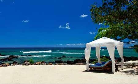 اخبار,اخبار گوناگون,موریس,جزيره رويايی موريس 