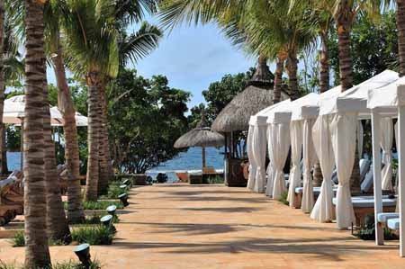 اخبار,اخبار گوناگون,موریس,جزيره رويايی موريس 