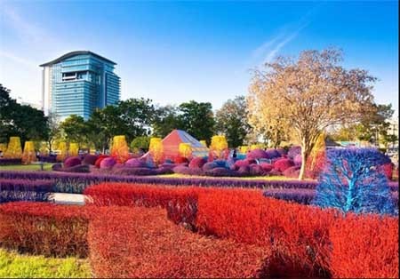 اخبار , اخبار گوناگون , دانشگاه زیبا 