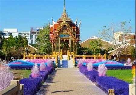 اخبار , اخبار گوناگون , دانشگاه زیبا 