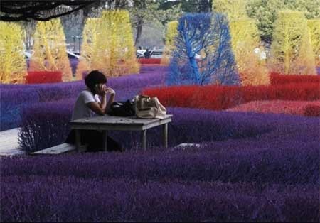 اخبار , اخبار گوناگون , دانشگاه زیبا 