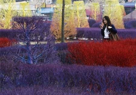 اخبار , اخبار گوناگون , دانشگاه زیبا 