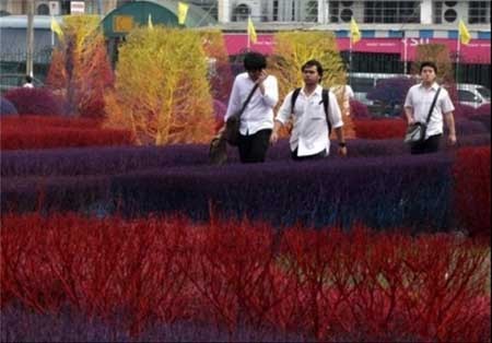 اخبار , اخبار گوناگون , دانشگاه زیبا 