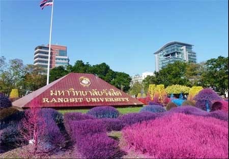 اخبار , اخبار گوناگون , دانشگاه زیبا 