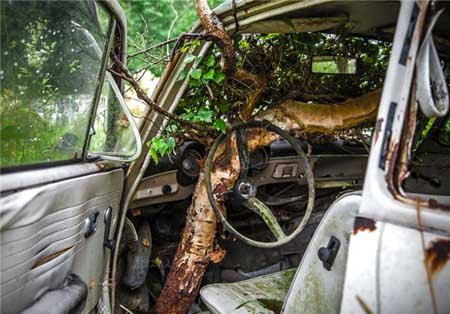 اخبار , اخبار گوناگون , قبرستان خودرو