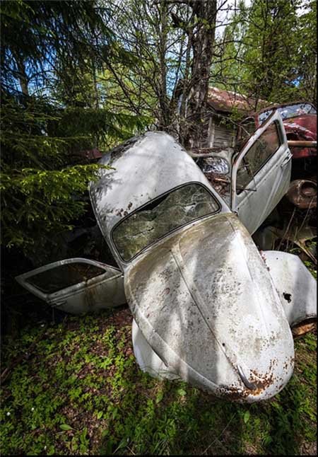 اخبار , اخبار گوناگون , قبرستان خودرو