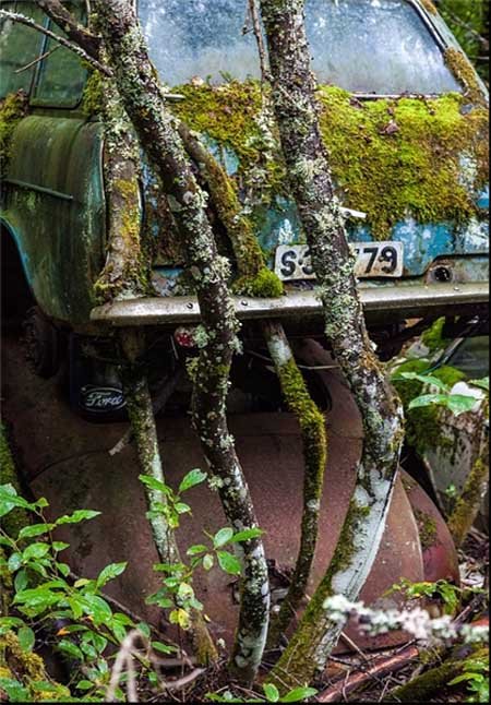 اخبار , اخبار گوناگون , قبرستان خودرو