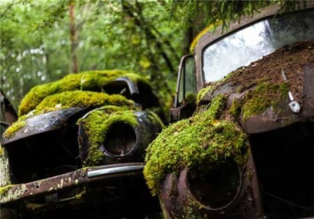 اخبار , اخبار گوناگون , قبرستان خودرو