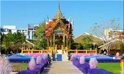 اخبار , اخبار گوناگون , دانشگاه زیبا 