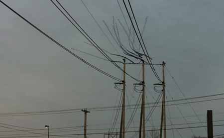 اخبار , اخبار گوناگون ,الگوهای پرنده‌ای