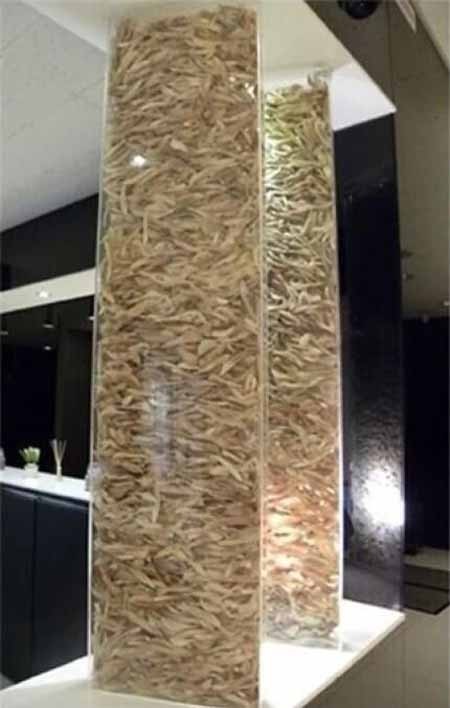 اخبار , اخبار گوناگون ,برج چانه