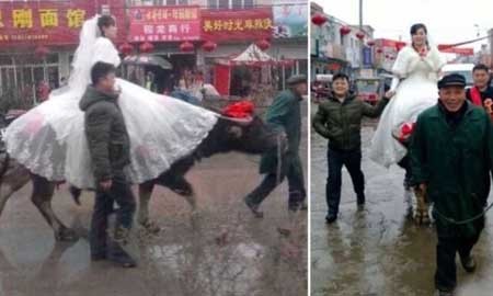 اخبار , اخبار گوناگون , عروس و داماد