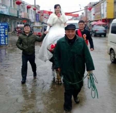 اخبار , اخبار گوناگون , عروس و داماد