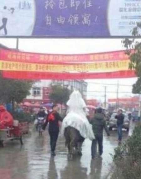 اخبار , اخبار گوناگون , عروس و داماد