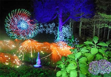 اخبار , اخبار گوناگون , نقاشی های خارق العاده