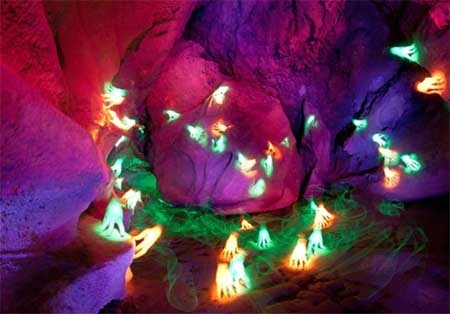 اخبار , اخبار گوناگون , نقاشی های خارق العاده