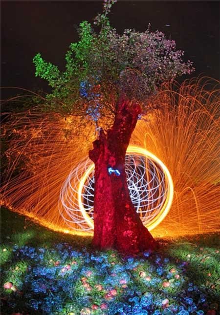 اخبار , اخبار گوناگون , نقاشی های خارق العاده