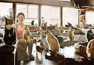 اخبار ,اخبار گوناگون , زندگی در گربه دانی اخبار ,اخبار گوناگون , زندگی در گربه دانی