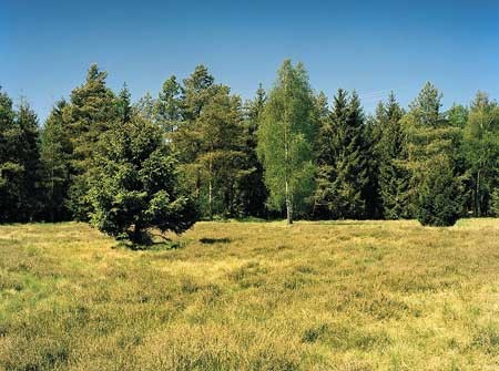 اخبار,اخبار گوناگون,عکسبرداری اخبار,اخبار گوناگون,عکسبرداری