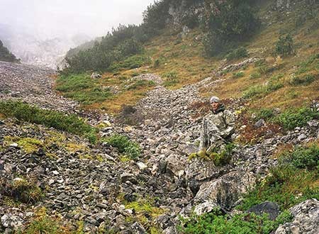 اخبار,اخبار گوناگون,عکسبرداری اخبار,اخبار گوناگون,عکسبرداری