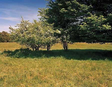 اخبار,اخبار گوناگون,عکسبرداری اخبار,اخبار گوناگون,عکسبرداری