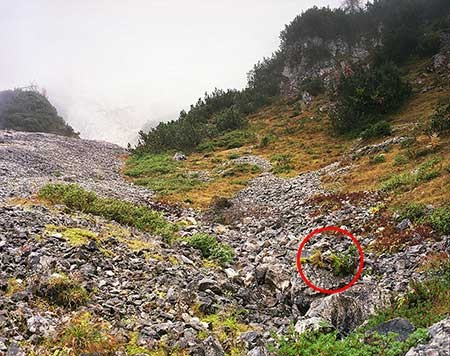 اخبار,اخبار گوناگون,عکسبرداری اخبار,اخبار گوناگون,عکسبرداری