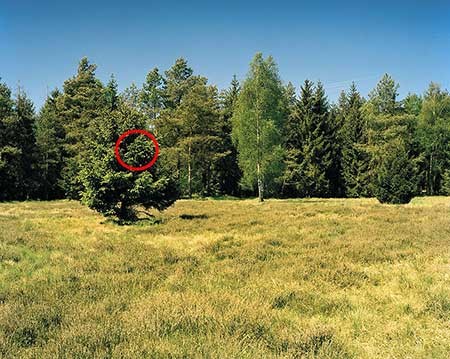 اخبار,اخبار گوناگون,عکسبرداری اخبار,اخبار گوناگون,عکسبرداری