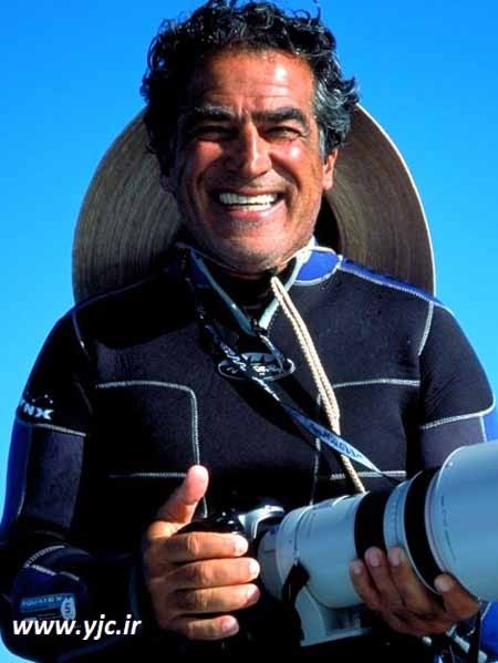 اخبار,اخبار گوناگون,قبل از خورده شدن توسط کوسه چه خواهید دید