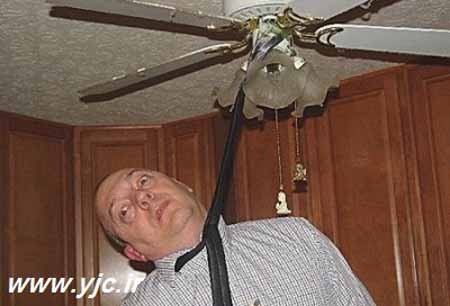 اخبار,اخبار گوناگون,سرگرمی های جالب اخبار,اخبار گوناگون,سرگرمی های جالب