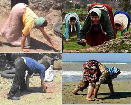 اخبار,اخبار گوناگون,افرادی که 4 دست و پا راه می روند
