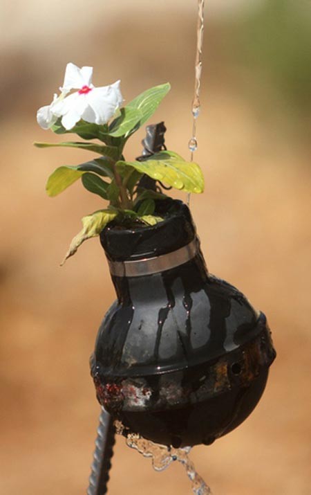  استفاده بهینه از گلوله گاز اشک آور از سوی یک خانواده فلسطینی به عنوان گلدان