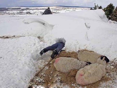 عکسهای جالب,عکسهای جذاب